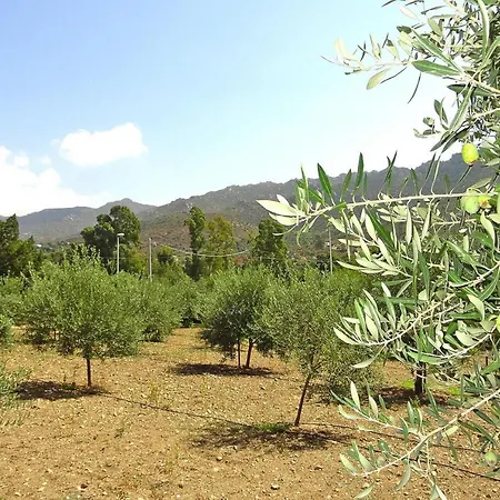 Holiday Solanas - Isr05016-f Holiday home *